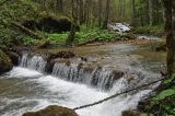 Долина реки Мезмай, image of landscape/habitat.