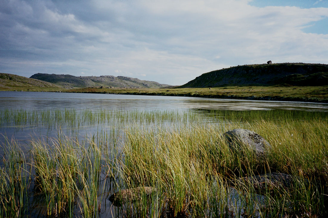 Большое Хариусовое озеро, image of landscape/habitat.