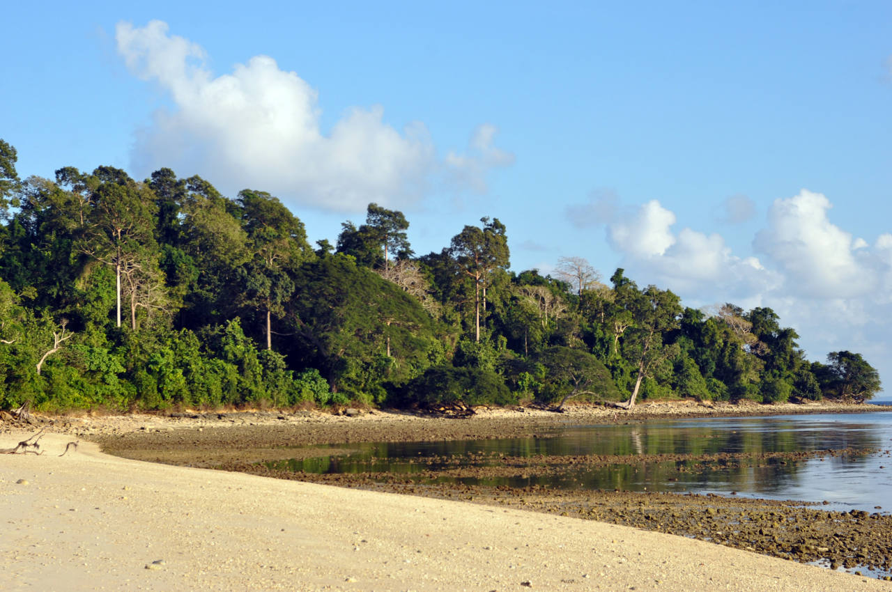 Остров Лонг, изображение ландшафта.