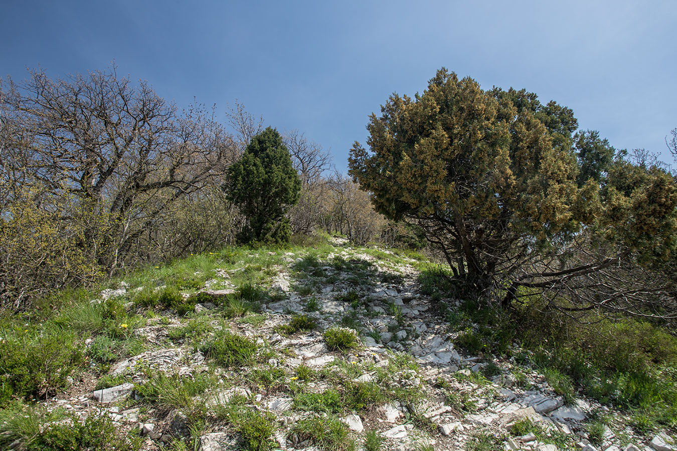 Андреевский перевал, image of landscape/habitat.