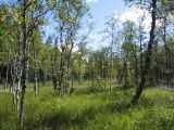 Image of landscape