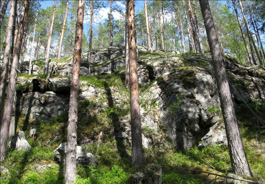 Окрестности поселка Вокнаволок, image of landscape/habitat.