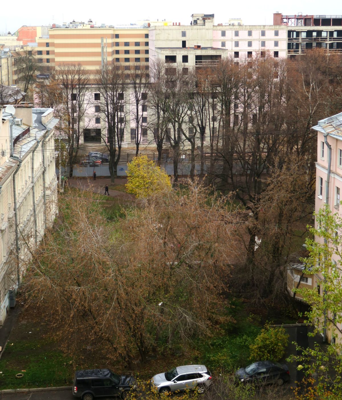 Центральный р-н Санкт-Петербурга, image of landscape/habitat.