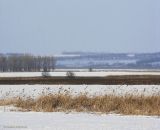 Балка Боброва, image of landscape/habitat.