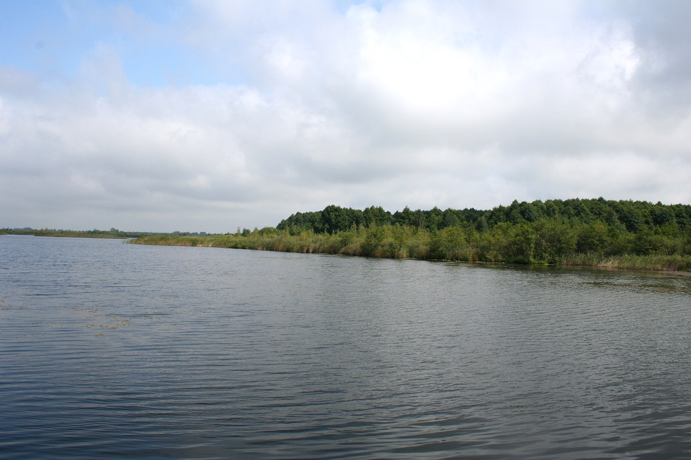 Заказник "Любче", image of landscape/habitat.