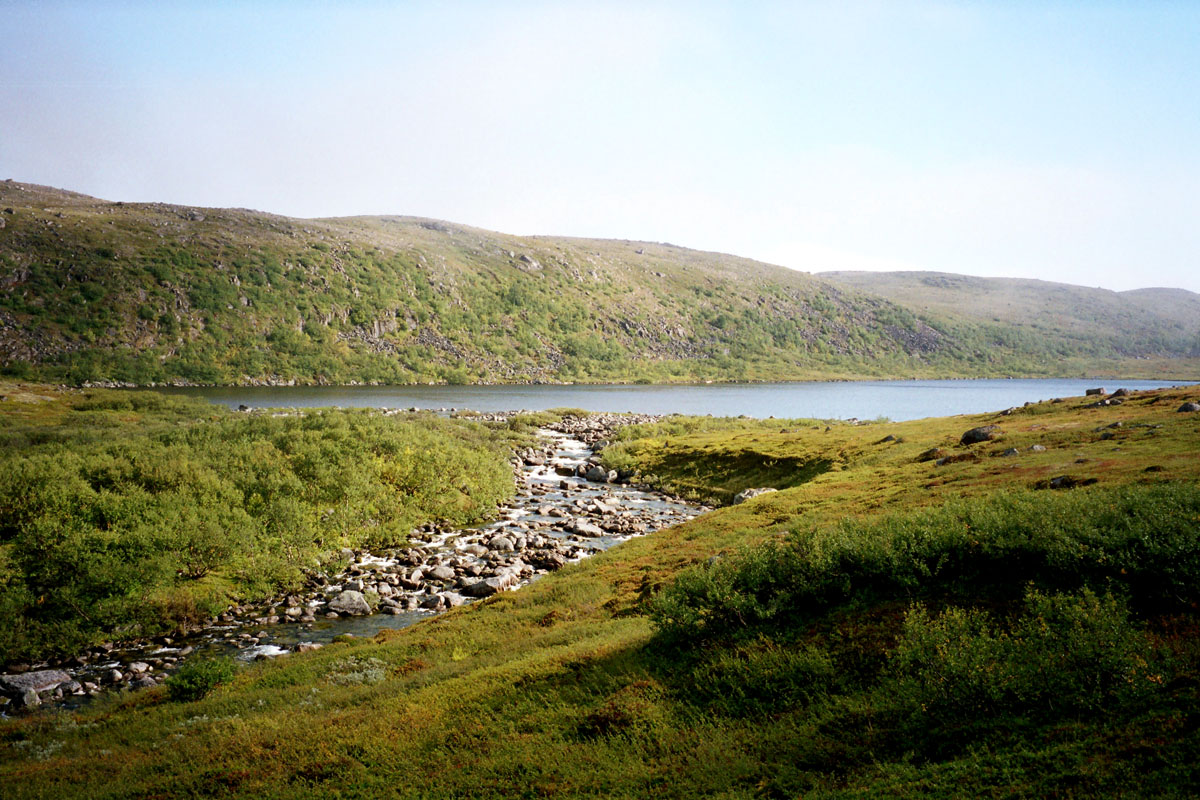 Дальние Зеленцы, image of landscape/habitat.