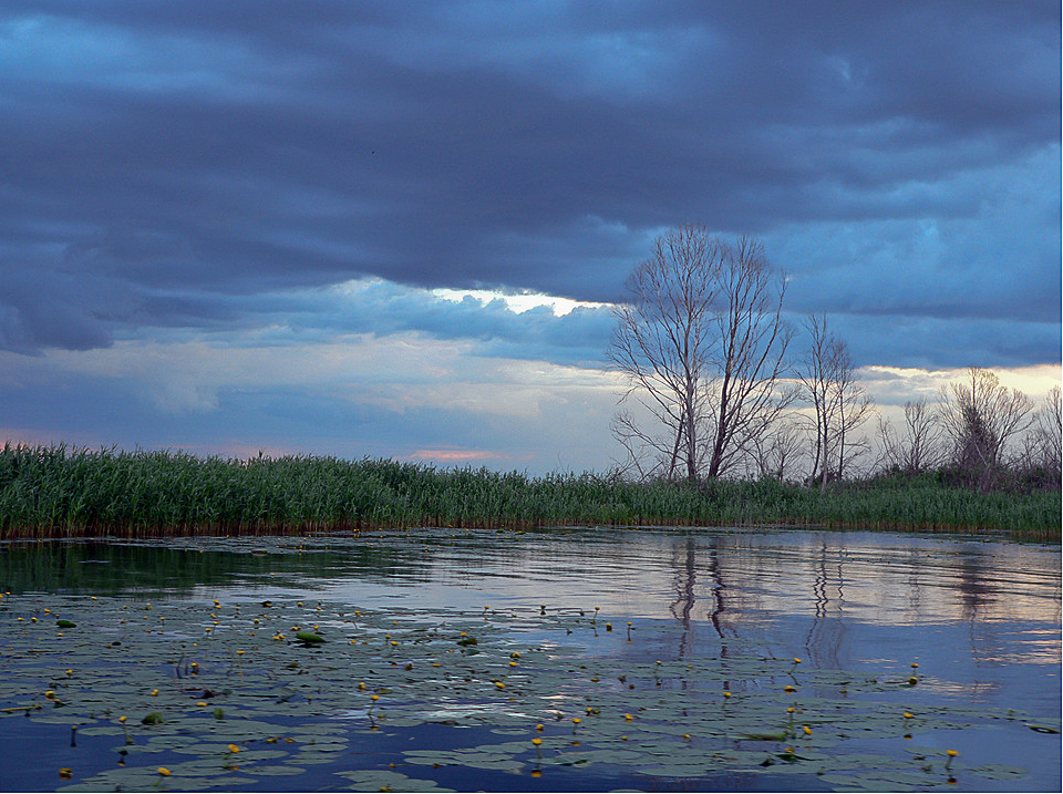 Окрестности села Красный Бор, image of landscape/habitat.