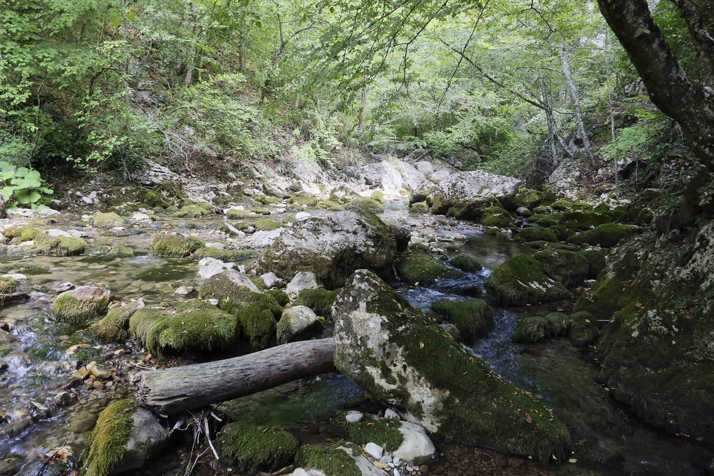 Большой каньон Крыма, image of landscape/habitat.