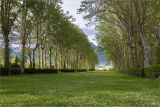 Image of landscape