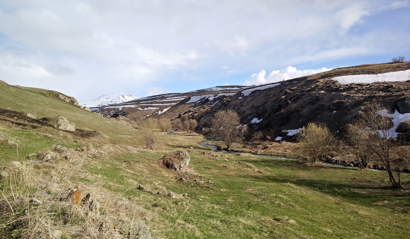 Долина реки Мегреки, image of landscape/habitat.