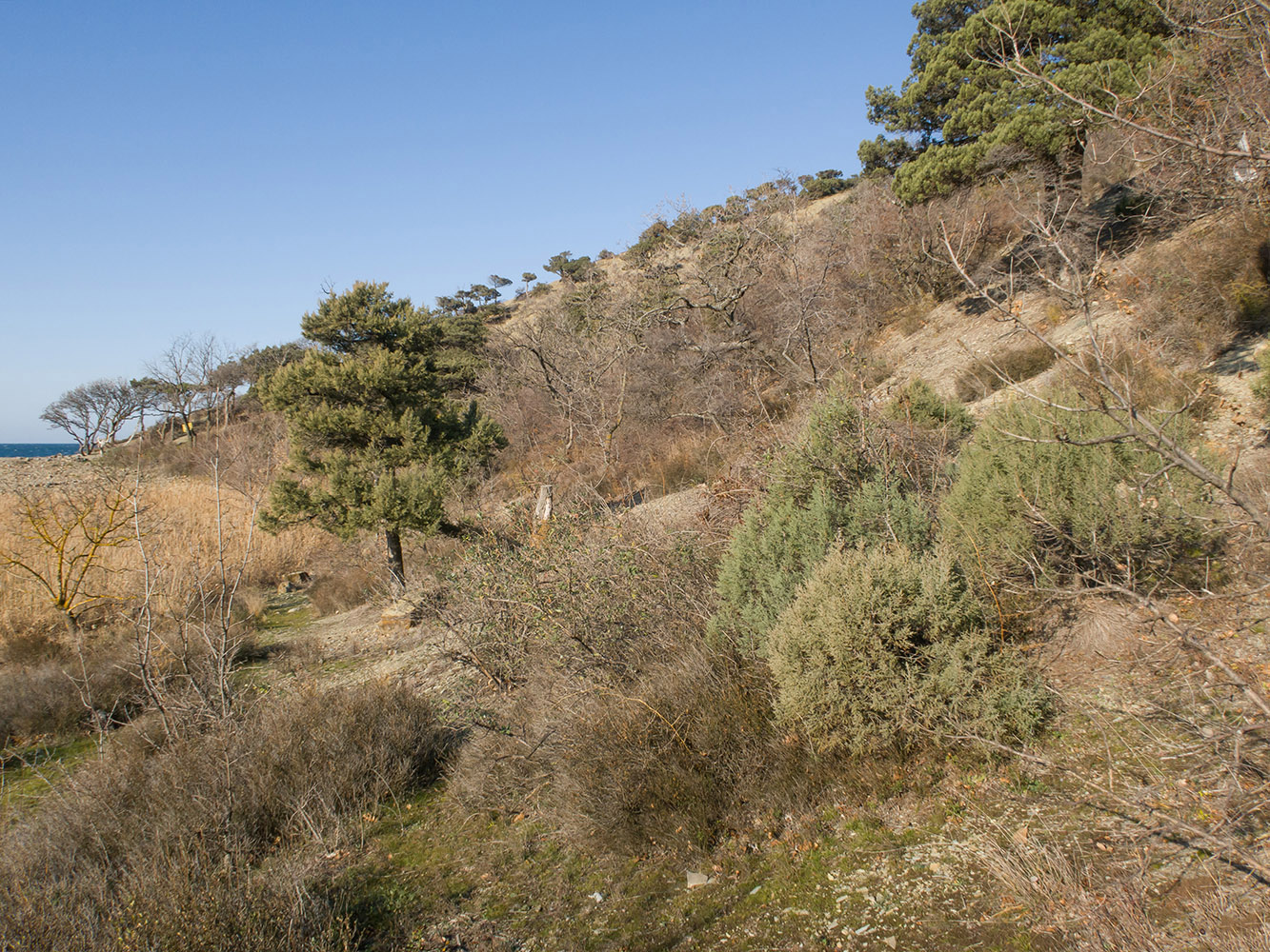 Большой Утриш, гора Солдатская, image of landscape/habitat.