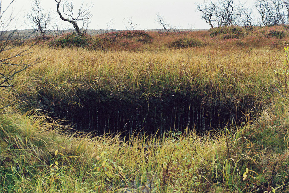 Туманный, image of landscape/habitat.