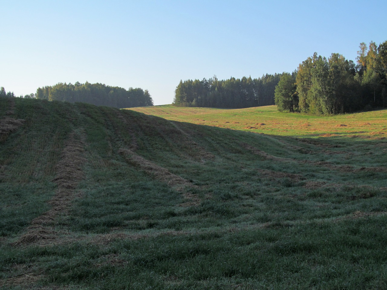 Сулятичи, image of landscape/habitat.