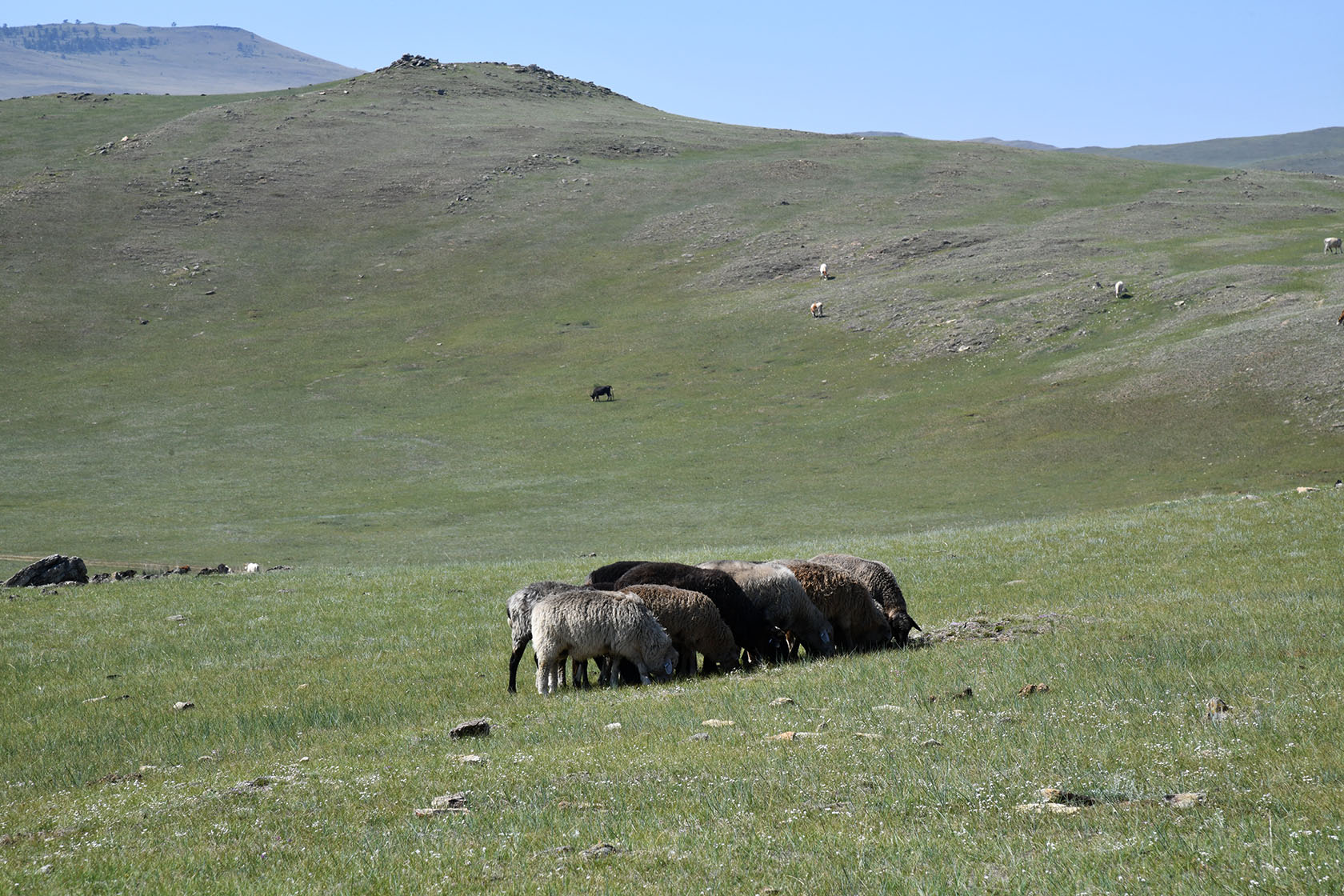 Ольхон, image of landscape/habitat.