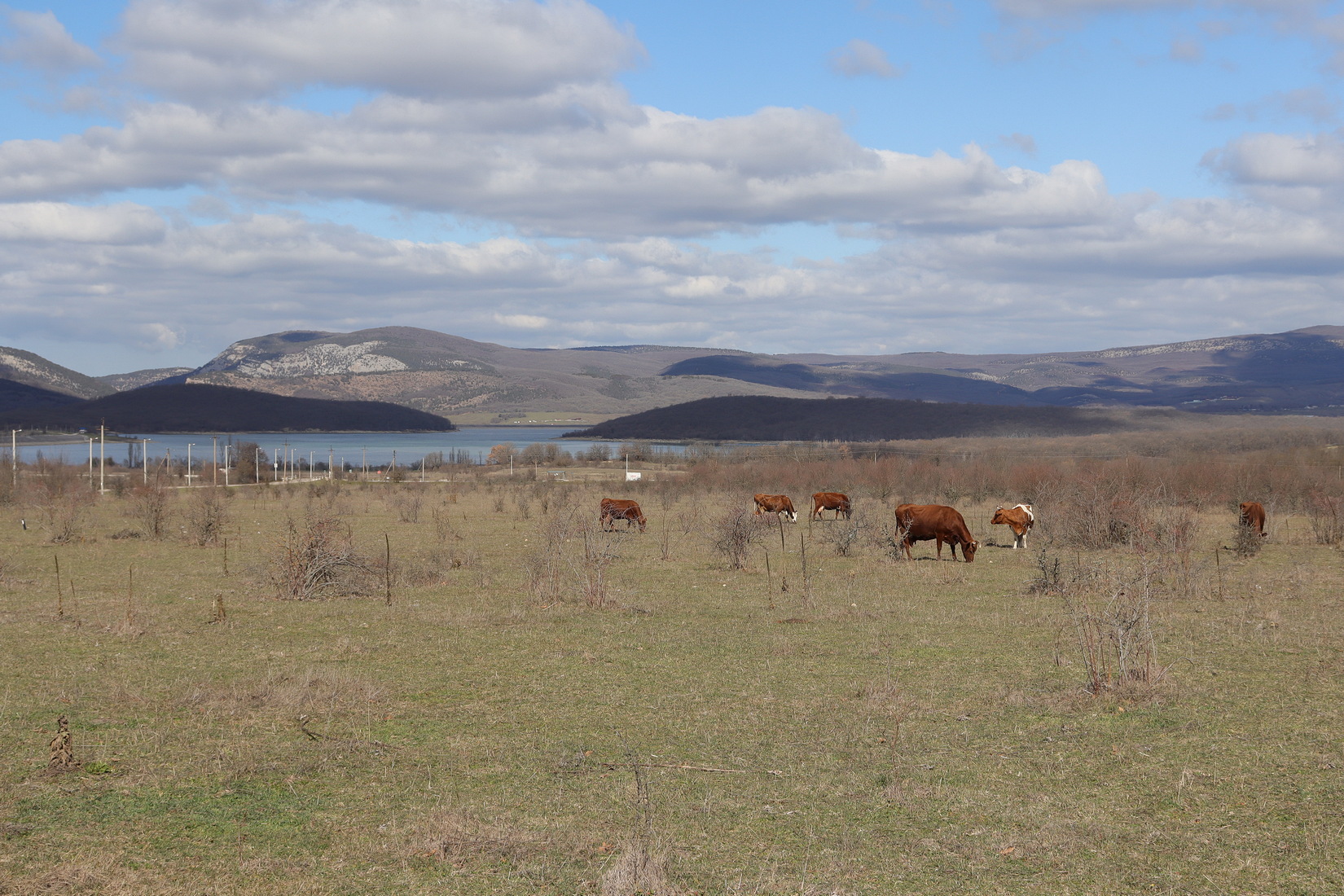 Байдарская долина, image of landscape/habitat.