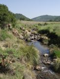 Image of landscape