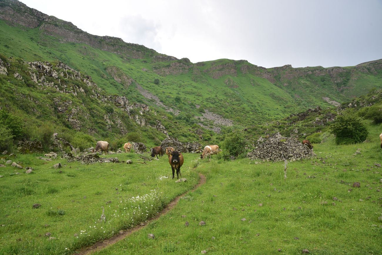 Урочище Бертахана, image of landscape/habitat.