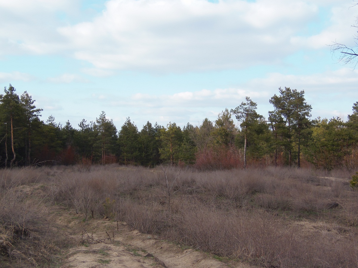 Остров Хортица, image of landscape/habitat.