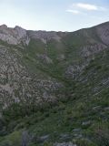 Image of landscape