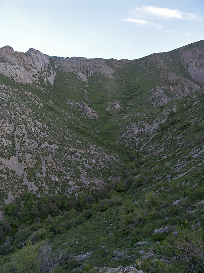 Ущелье Кенозен, image of landscape/habitat.