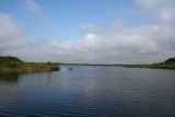 Заказник "Любче", image of landscape/habitat.