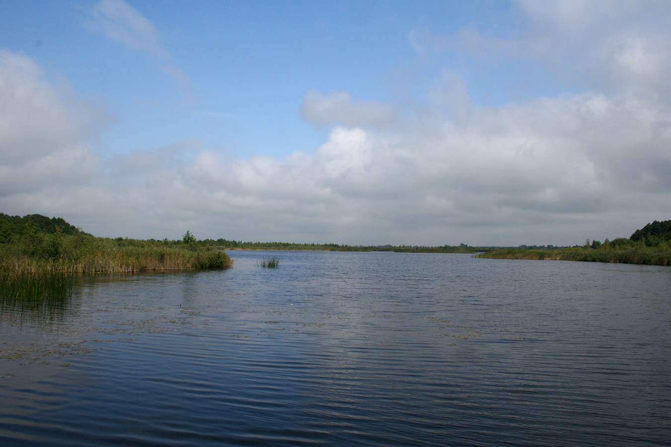 Заказник "Любче", image of landscape/habitat.