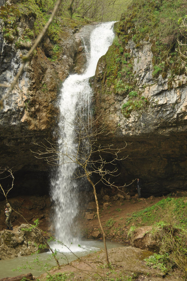 Долина реки Мезмай, image of landscape/habitat.