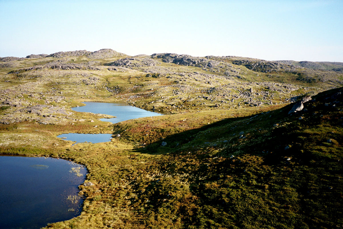 Кут Ярнышной губы, image of landscape/habitat.