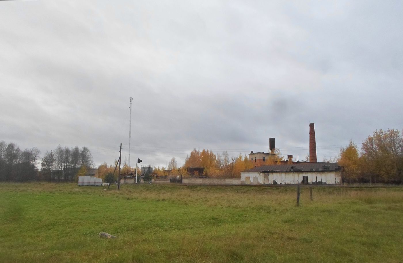 Весьегонск, image of landscape/habitat.