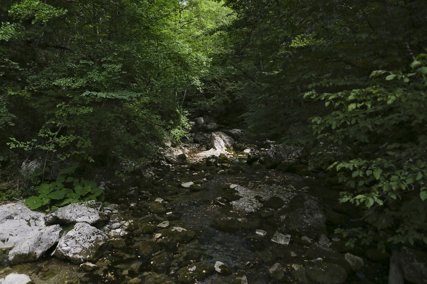 Большой каньон Крыма, image of landscape/habitat.