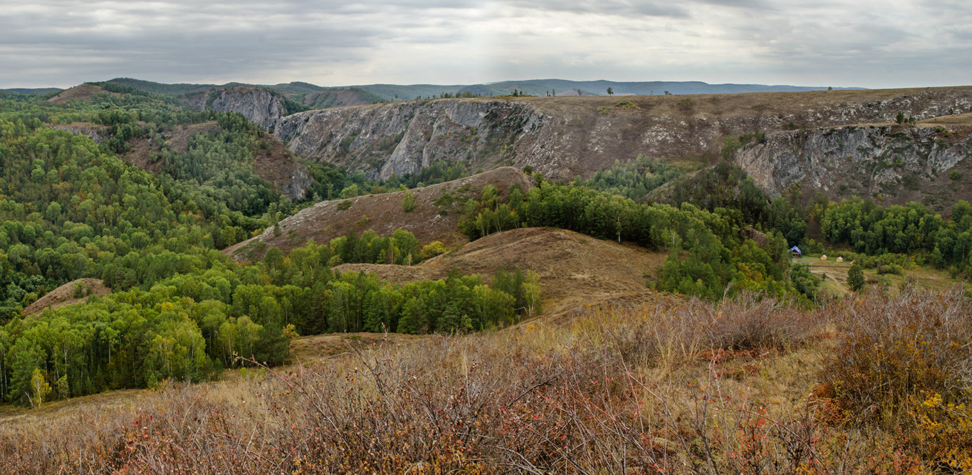 Мурадымовское ущелье, image of landscape/habitat.