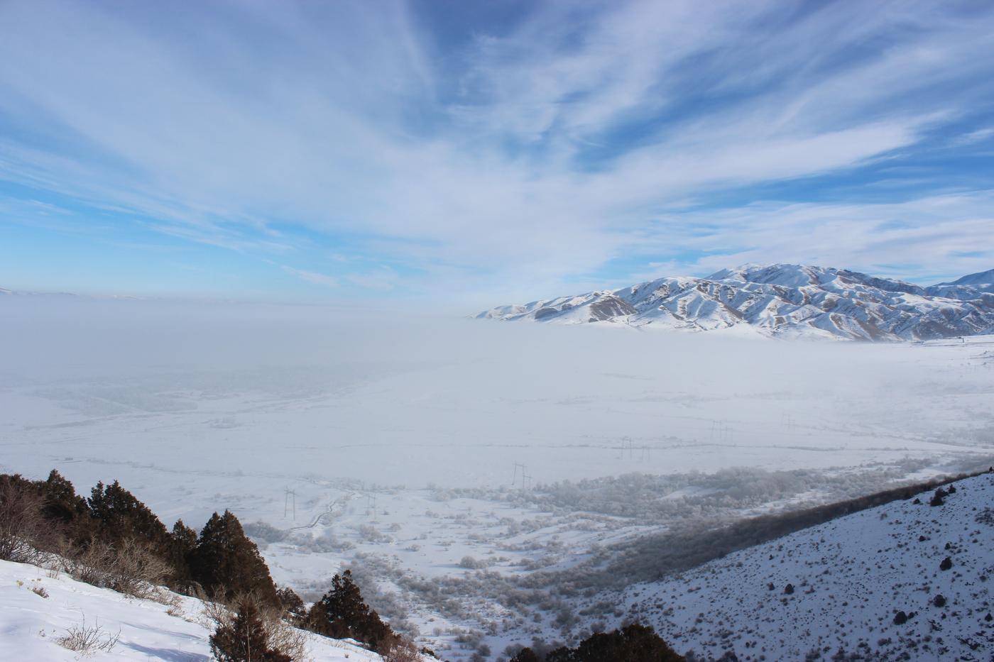 Окрестности с. Жабаглы, image of landscape/habitat.