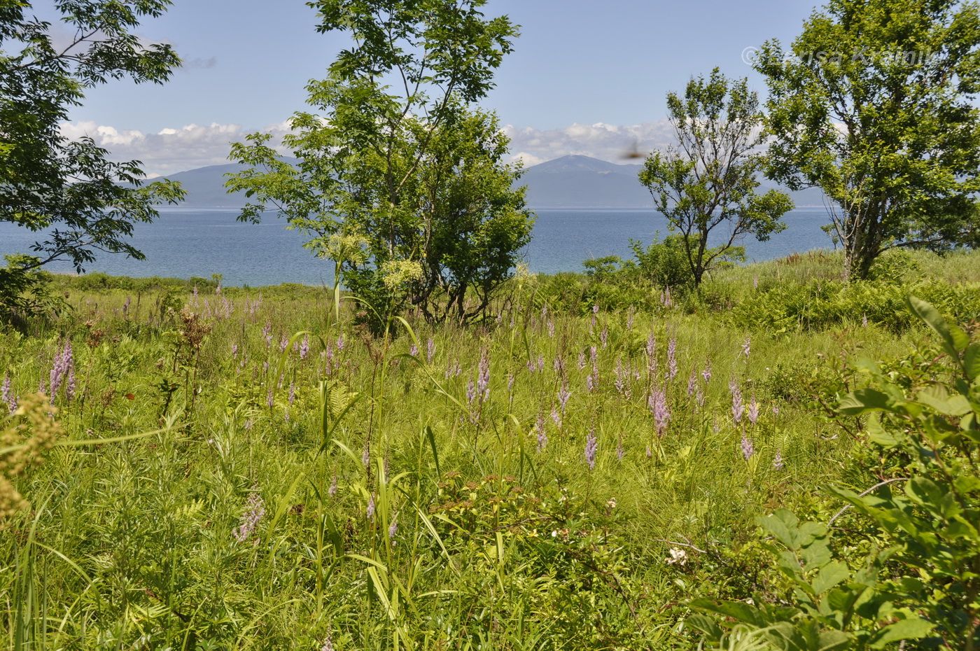 Остров Путятина, image of landscape/habitat.