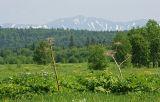 Image of landscape