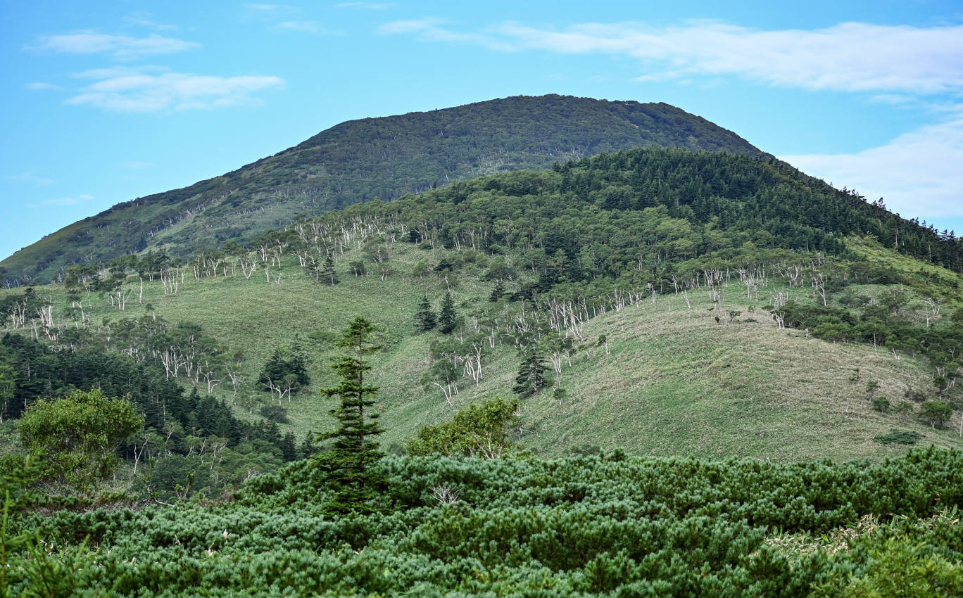 Вулкан Головнина, изображение ландшафта.