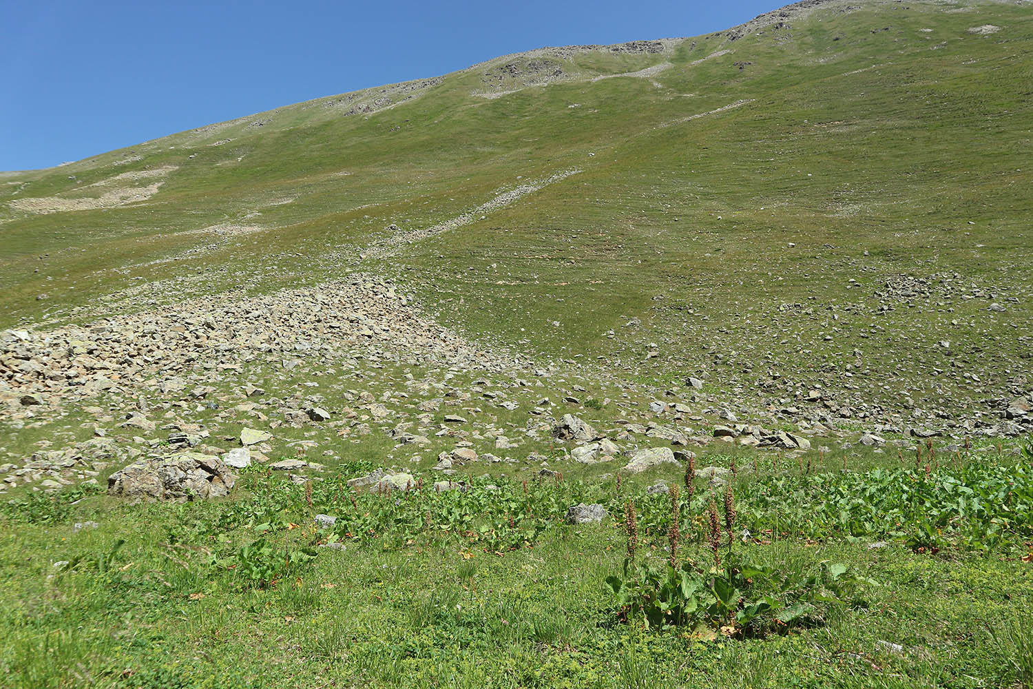 Долина реки Загедан, image of landscape/habitat.