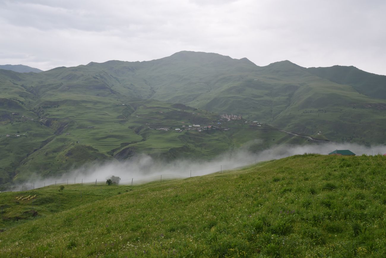 Шарой, image of landscape/habitat.