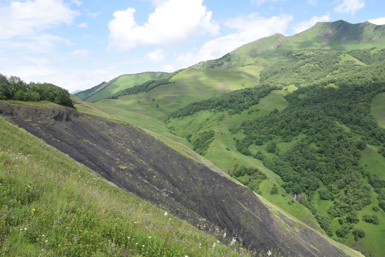 Вторая Чеченская (июнь – июль 2024)