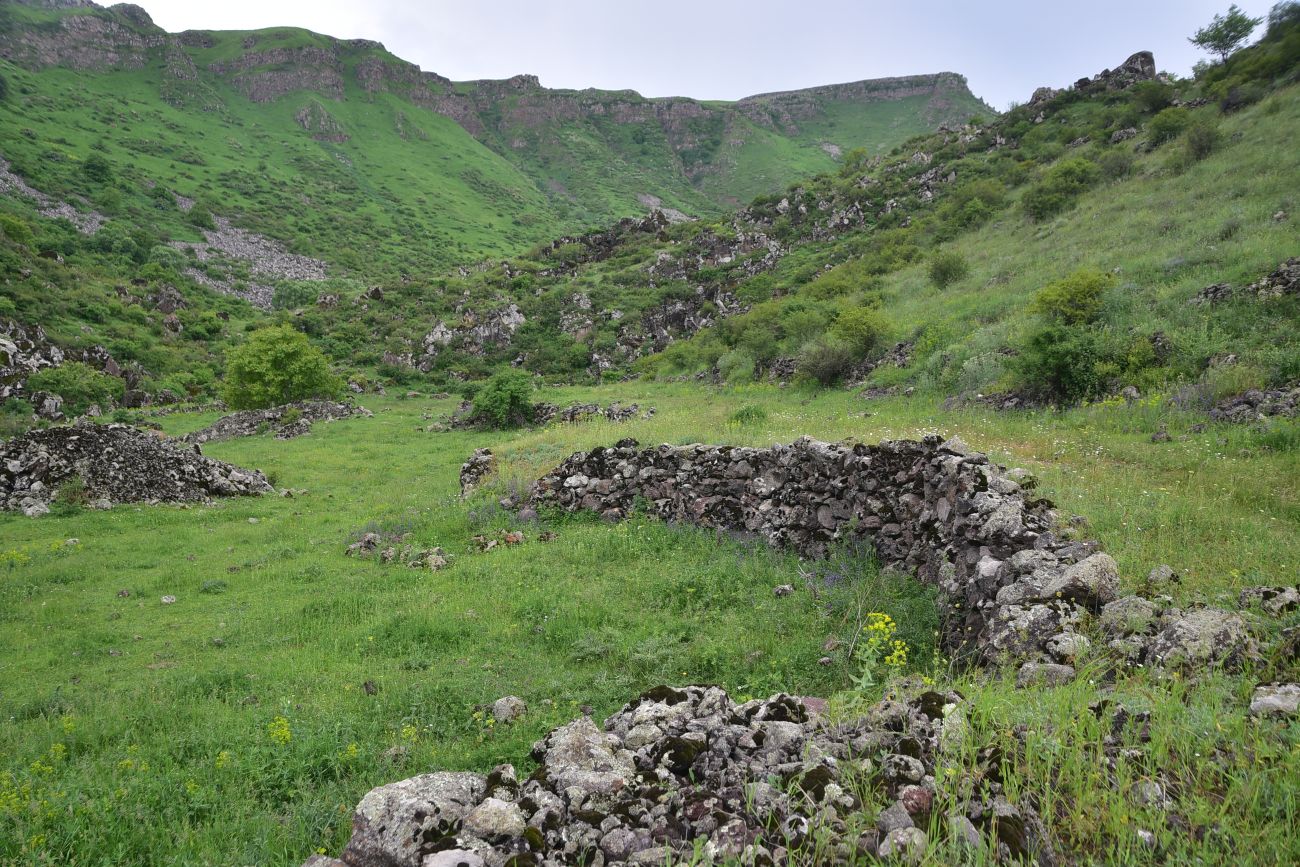 Урочище Бертахана, image of landscape/habitat.
