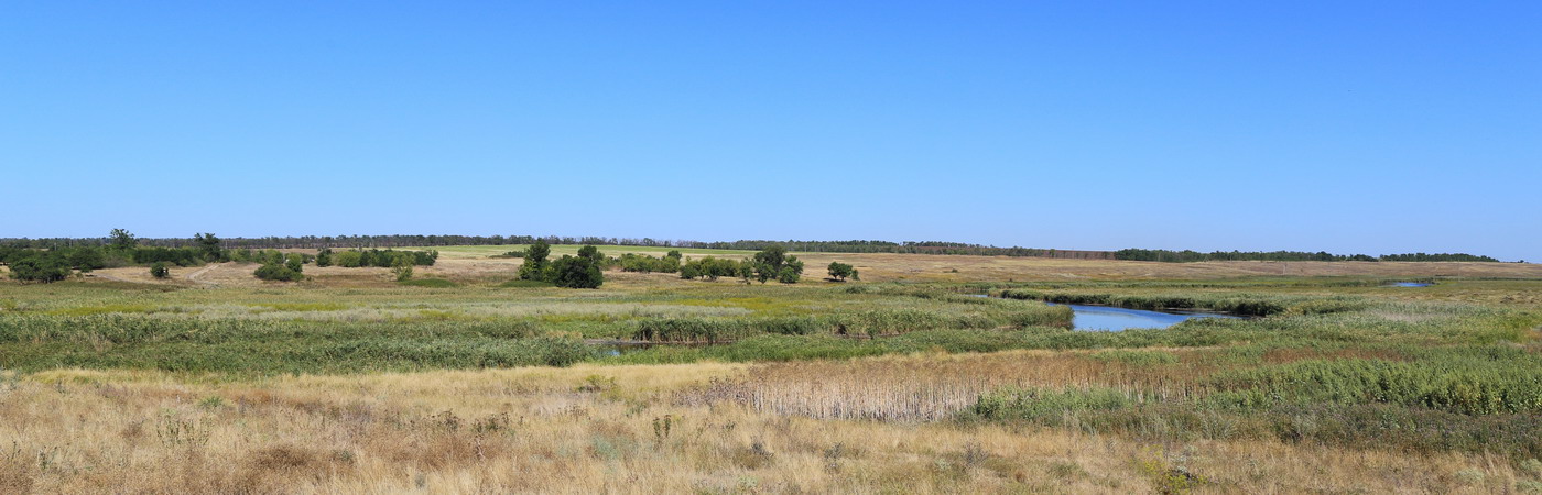 Долина реки М. Еланчик (В-Х с/п), image of landscape/habitat.