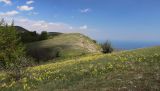 Северная Демерджи, image of landscape/habitat.