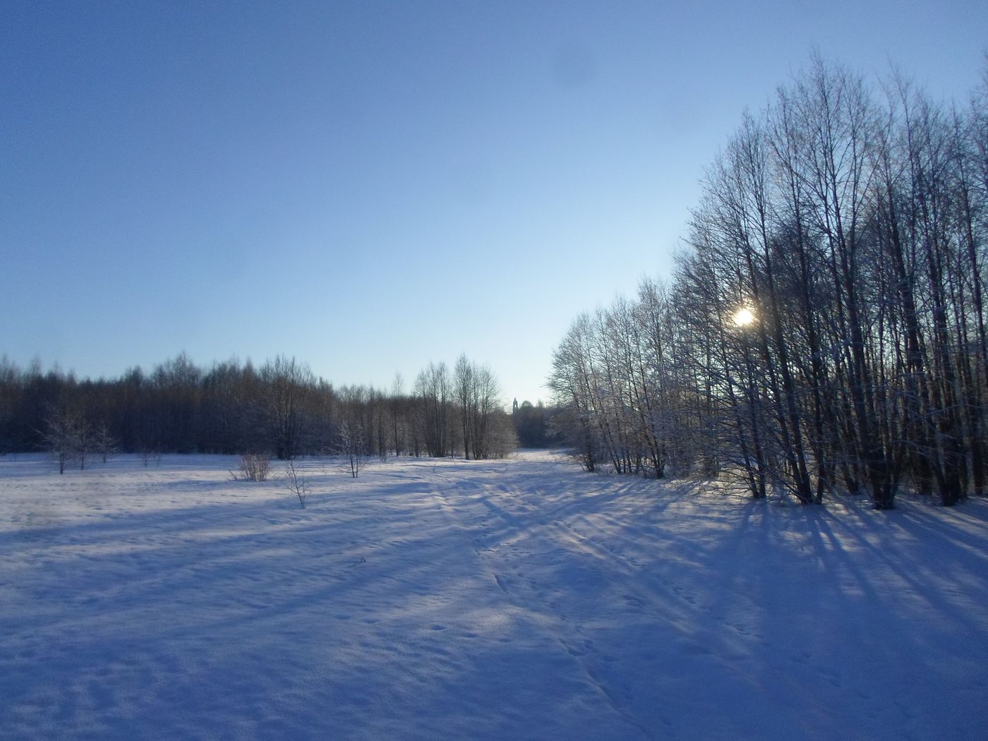 Чистая Дуброва, image of landscape/habitat.