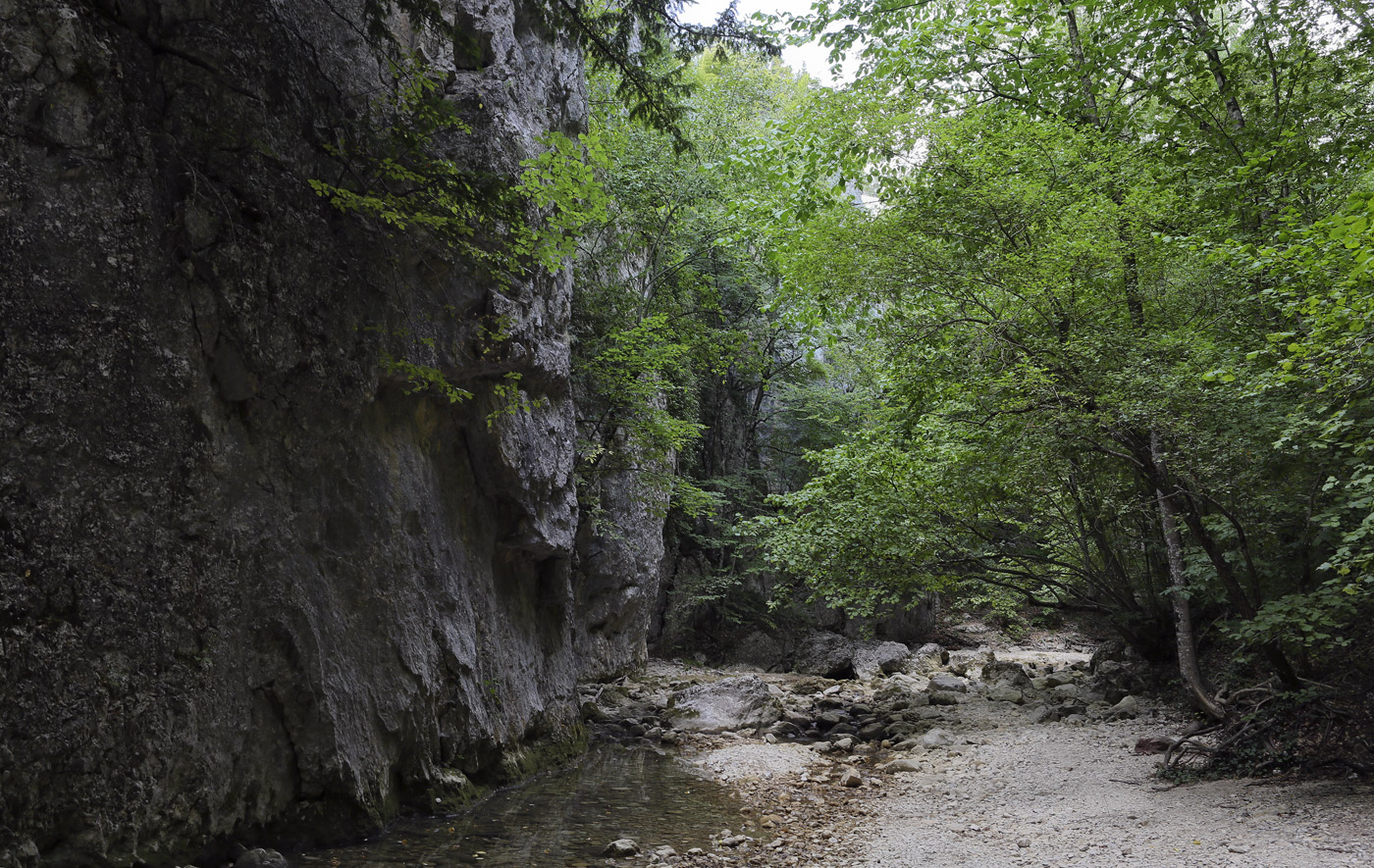 Большой каньон Крыма, image of landscape/habitat.