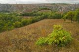 Мурадымовское ущелье, image of landscape/habitat.