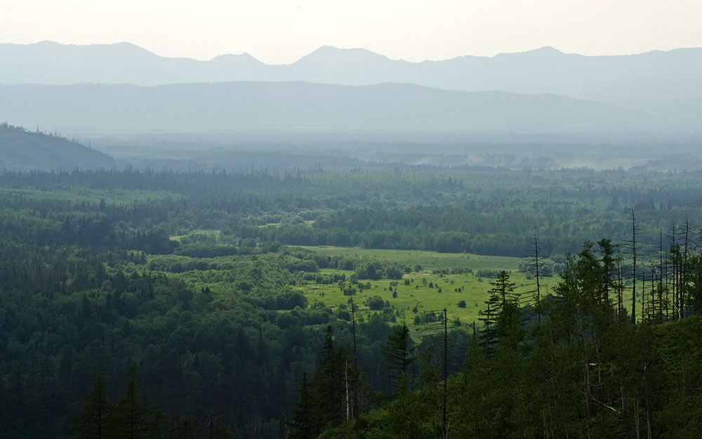 Пиленга, image of landscape/habitat.