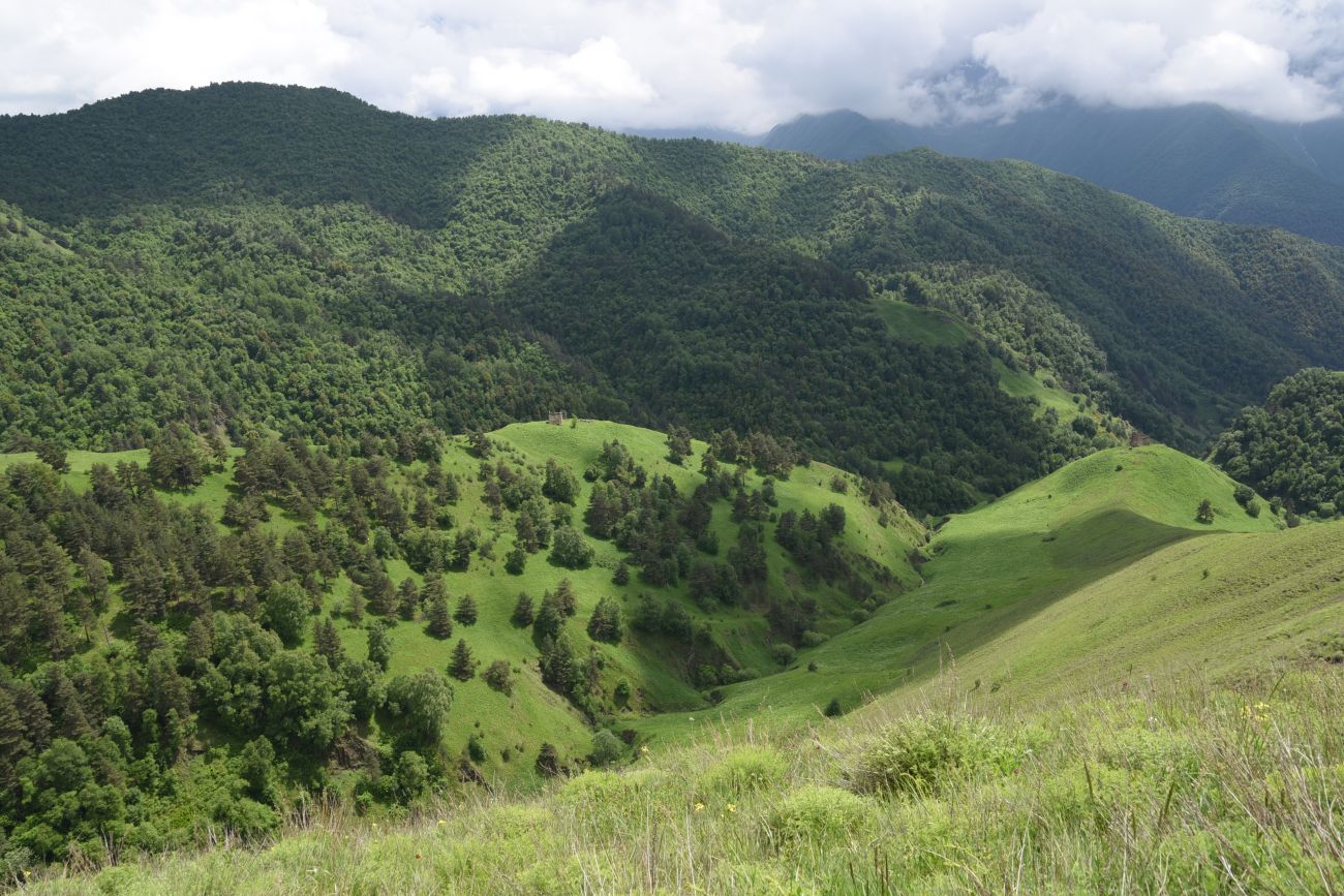 Окрестности урочища Кашети, image of landscape/habitat.