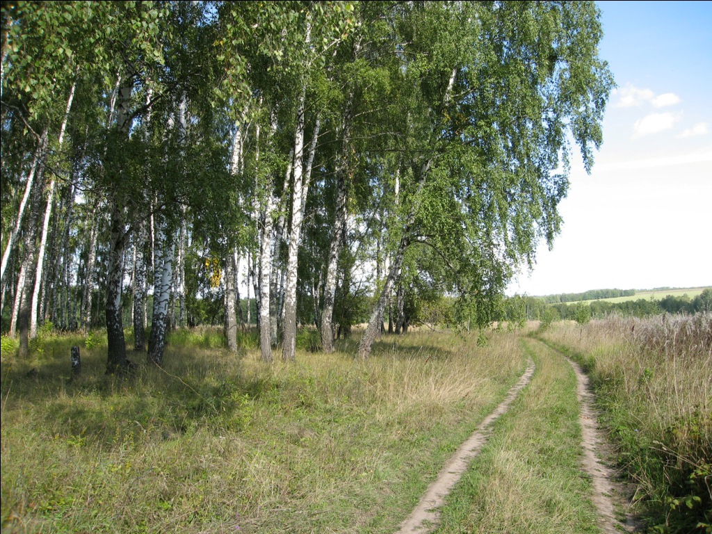 Старое Клейменово, изображение ландшафта.