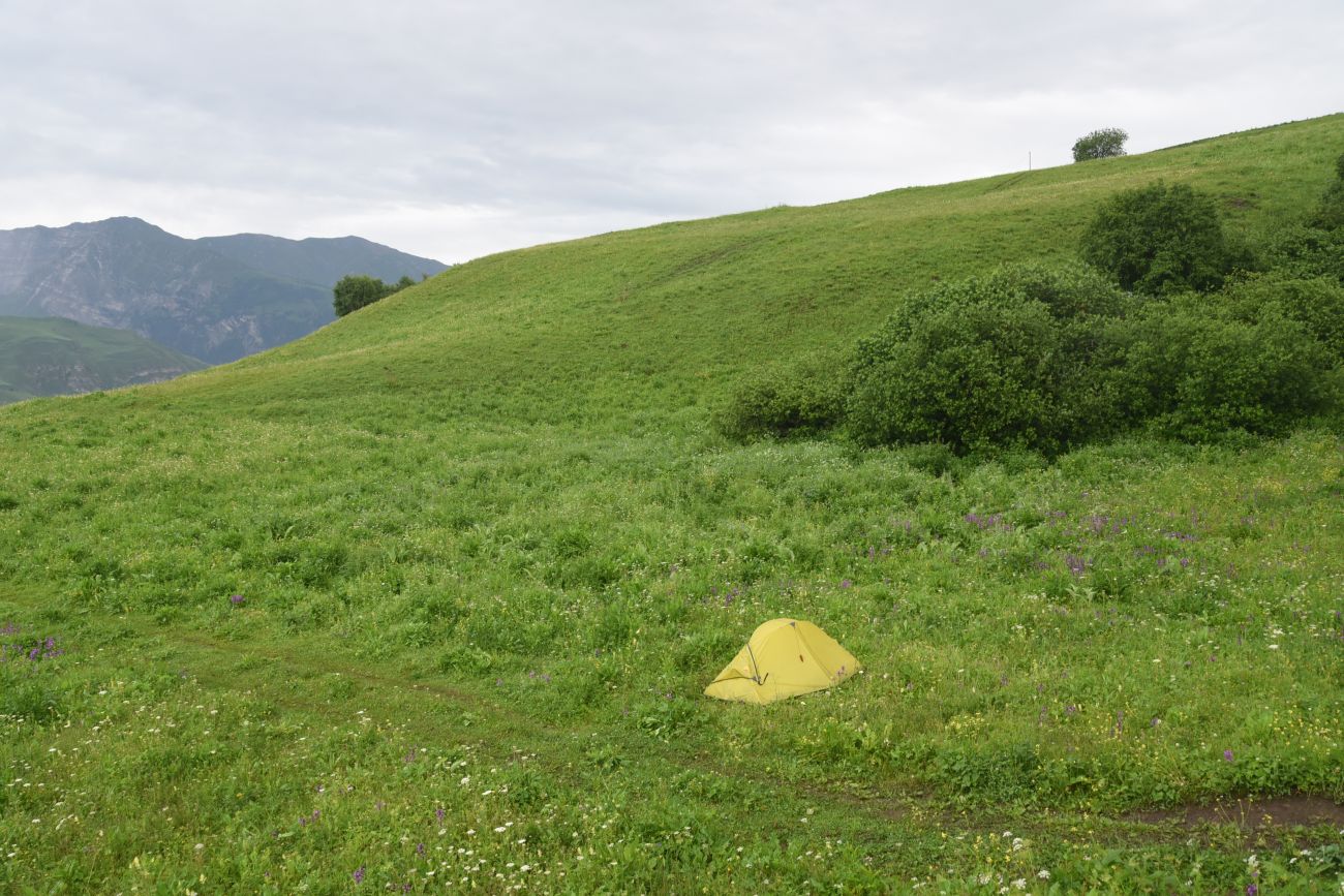 Хакмадой, image of landscape/habitat.