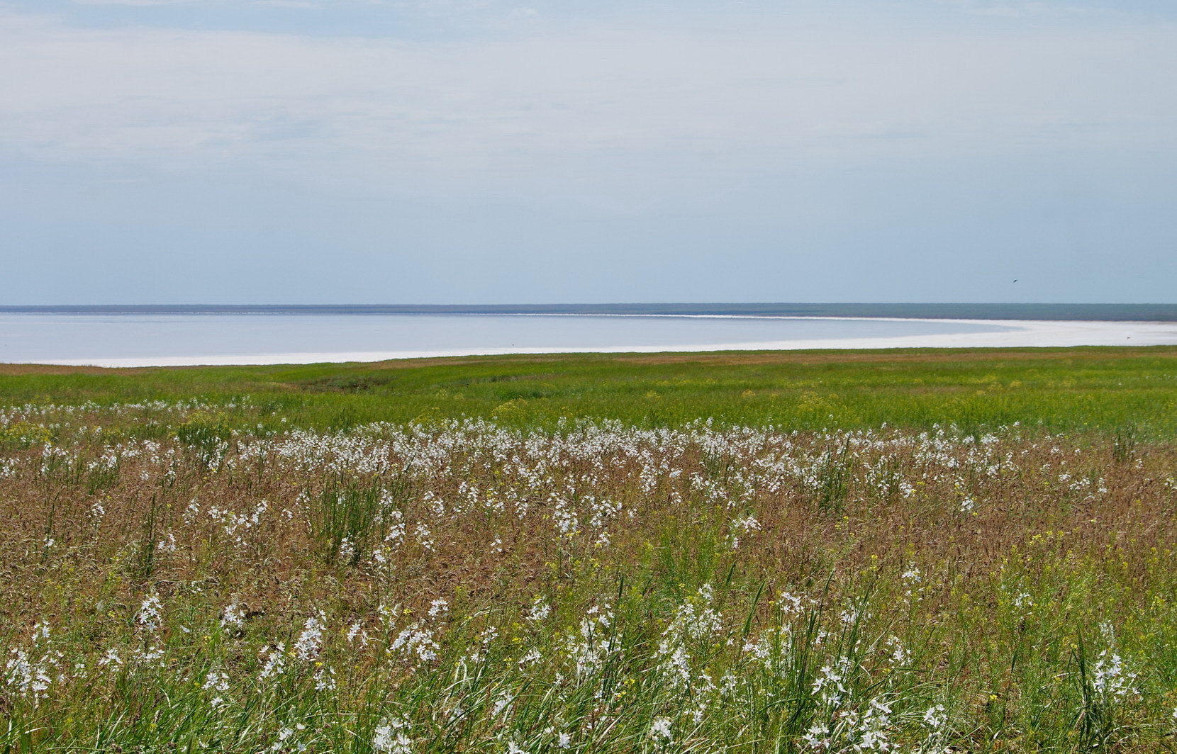 Эльтон, image of landscape/habitat.