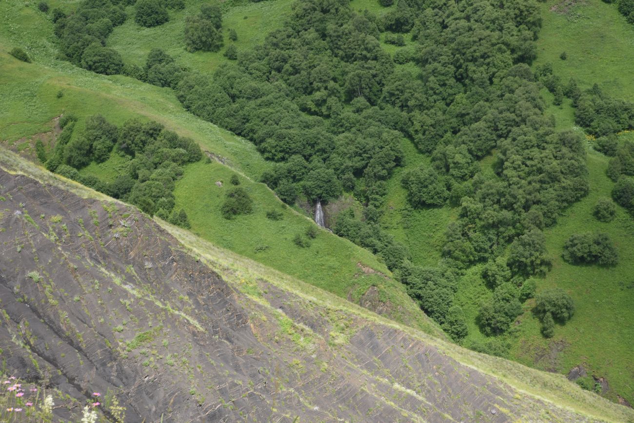 Вторая Чеченская (июнь – июль 2024)